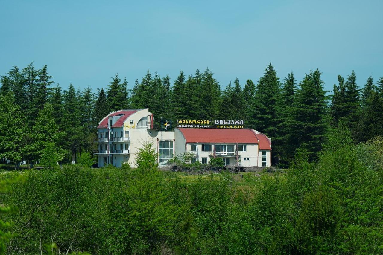 Hotel Tsiskari Ianet'i Exterior foto